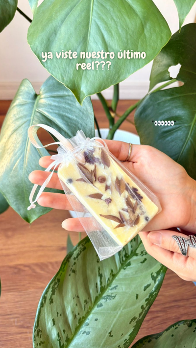 Aromatizador Botánico Sólido