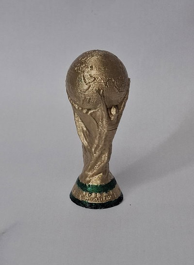 Copa del mundo chica