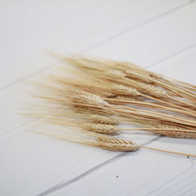 Trigo chico color (25u)