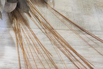 Capin dorado/plateado