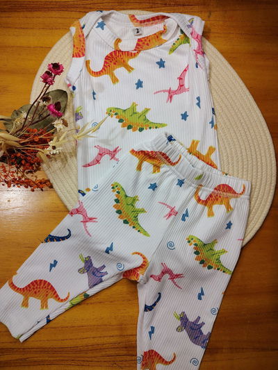 Conjunto DINOS