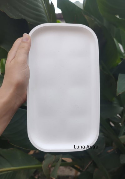 10 BANDEJAS RETANGULARES 25 CM