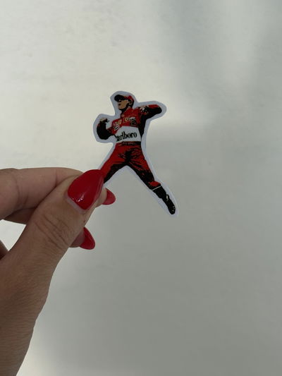 STICKER TÉRMICO SCHUMMI WINNER  6x4