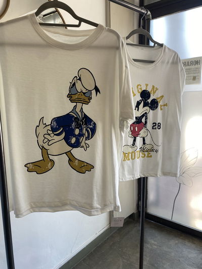 Remera Disney 
