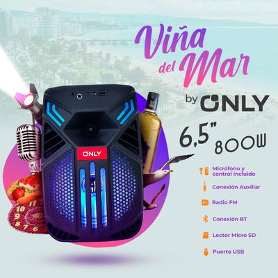 PARLANTE 6,5» – FS-650 VIÑA DEL MAR