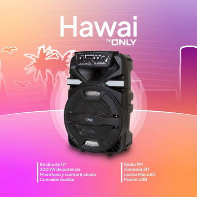 PARLANTE 12» – MOD FS-1204 – ONLY HAWAI