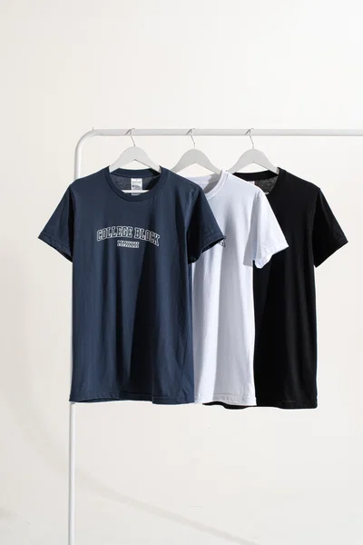 REMERA REGULAR "COLLEGE BLOCK"