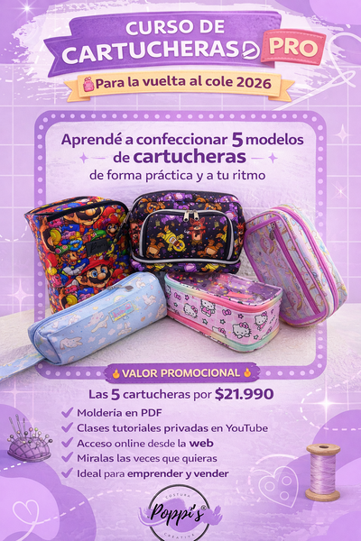 Curso cartucheras Pro