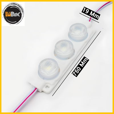 Modulo led 7519 12V x 100 Unidades 12v