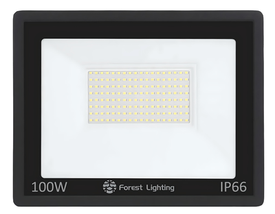 Reflector Led 100w Exterior Alta potencia - FOREST