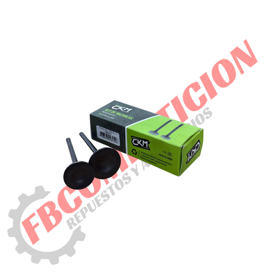 Válvulas Set TITAN/XR 150 (CKM) 
