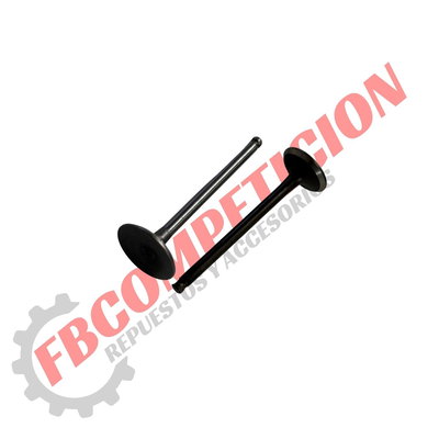 VALVULA SET CRYPTON/NEW CRYPTON (CKM)
