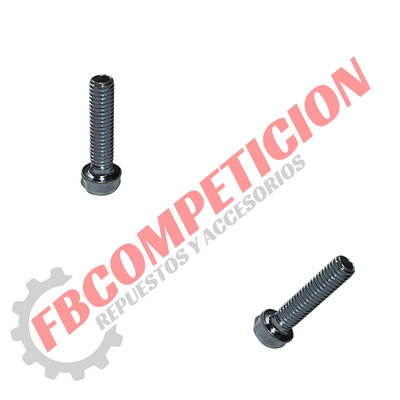 Tornillo Motor 6 X 25