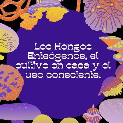 Curso de autocultivo de hongos y consumo responsable