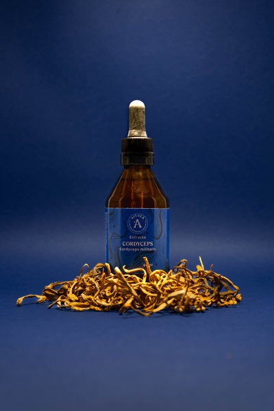Extracto de Cordyceps (60ml)