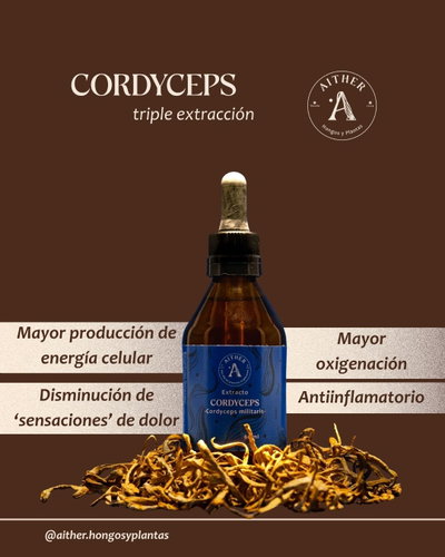 Extracto de Cordyceps (60ml)