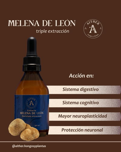 Extracto de Melena de león (60ml)