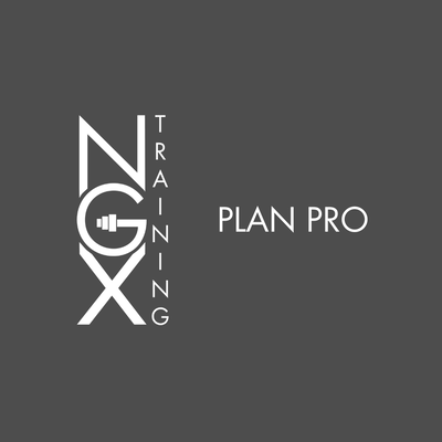 PLAN PRO