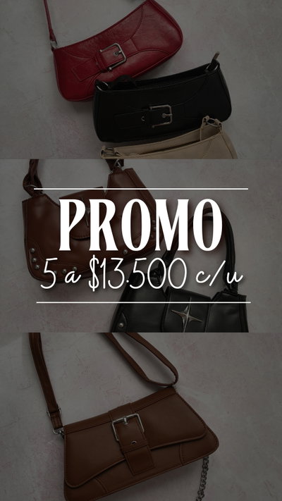 PROMO CARTERAS BAGUETTE X5