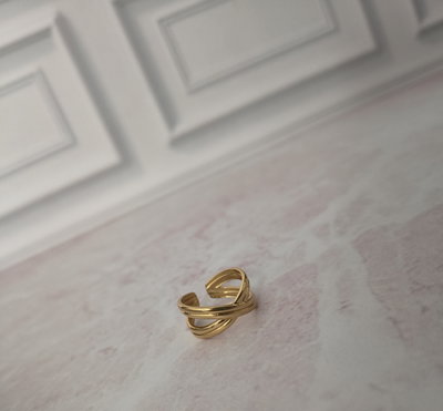 ANILLO 11