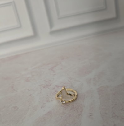 ANILLO 9