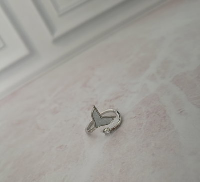 ANILLO 10
