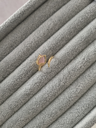 ANILLO MOD:1