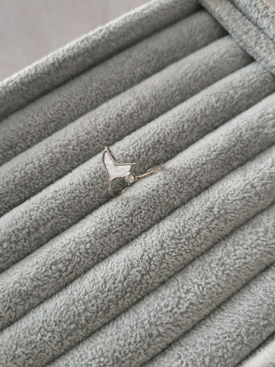 ANILLO MOD:2