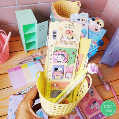 COMBO CANASTITO COLORES