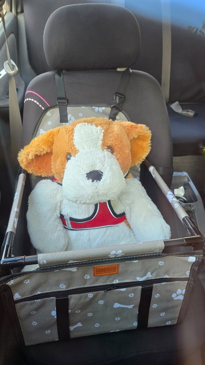 asiento de viaje para autos