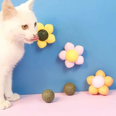 Flor Catnip Hierba Gatera