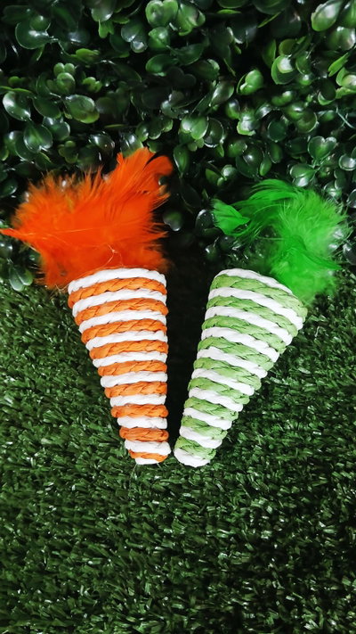 Zanahoria Con Hilo Sisal Y Plumita