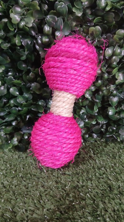 Pesa Sisal
