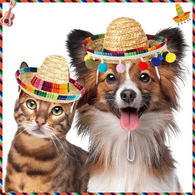 Sombrero Mexicano