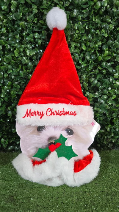 Gorro y Collar Merry Christmas