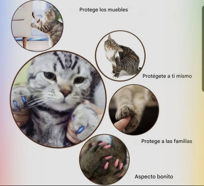 Kit Protector de uñas para Gatos
