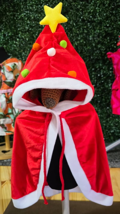 Capa de Papá Noel