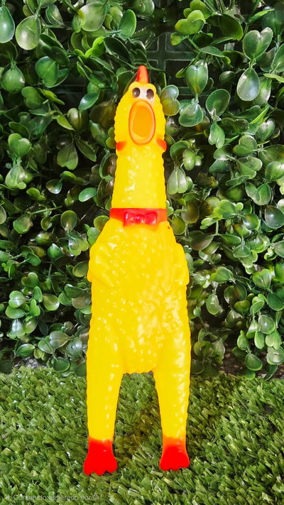 Pollo Chillón