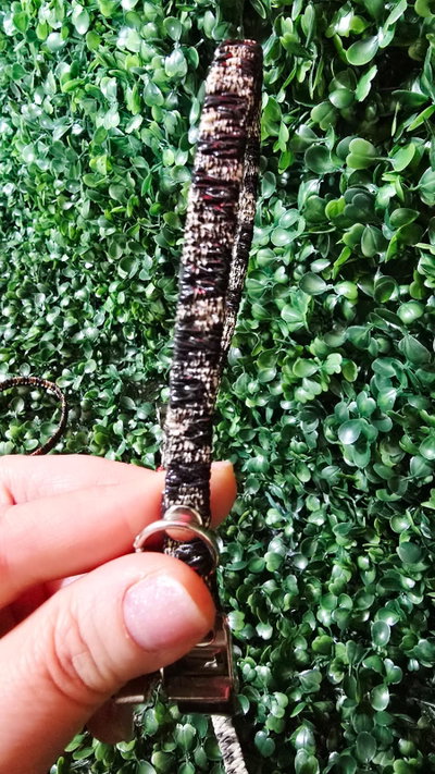 Collar Elastizado 