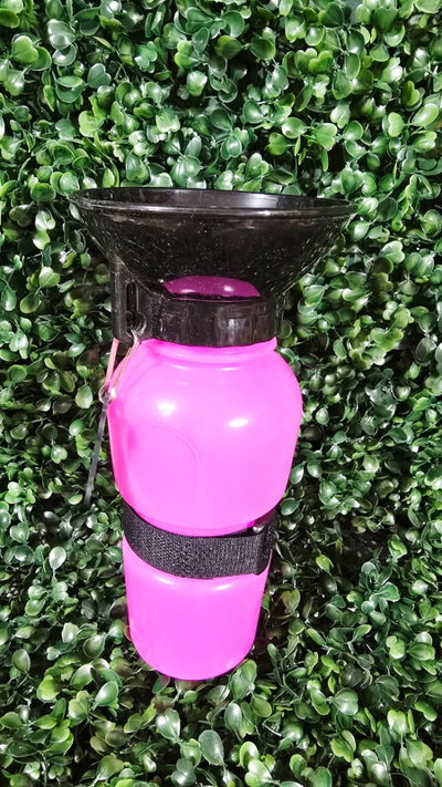 Botella de Agua