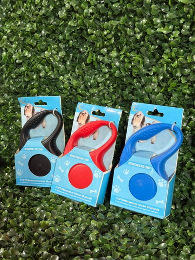 Correa Extensible 