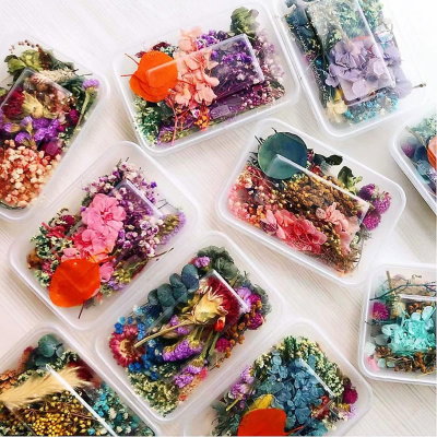 Flores Secas Para Resina Epoxi Bijouterie Y Artesanías