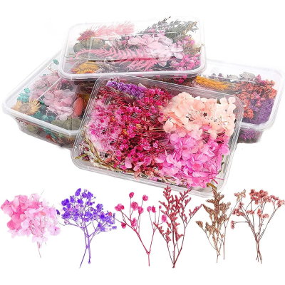 Flores Secas Para Resina Epoxi Bijouterie Y Artesanías