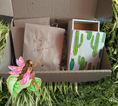 Box degustación de cigarrillos armados