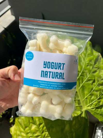 Yogurt natural