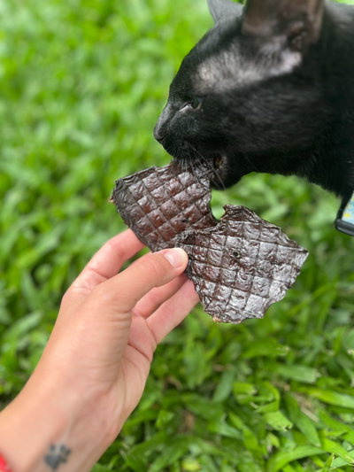 Chips Hígado