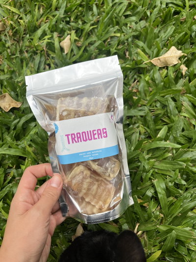 Tráquea