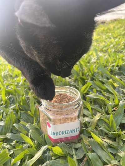 Saborizante alimenticio