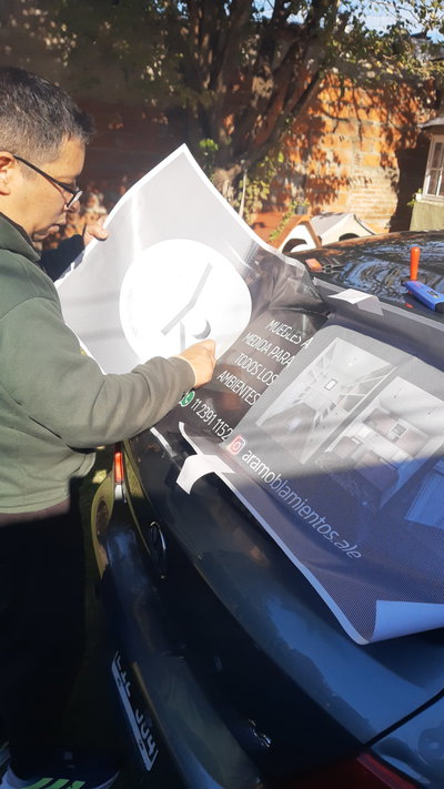 Gráfica Vehicular Parcial