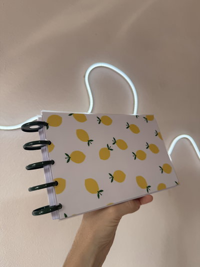 Fichero sistema inteligente